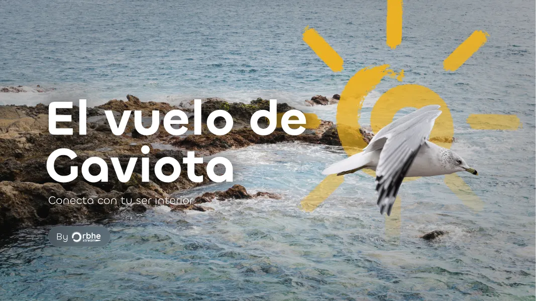 obcom_gaviota_s1_e1